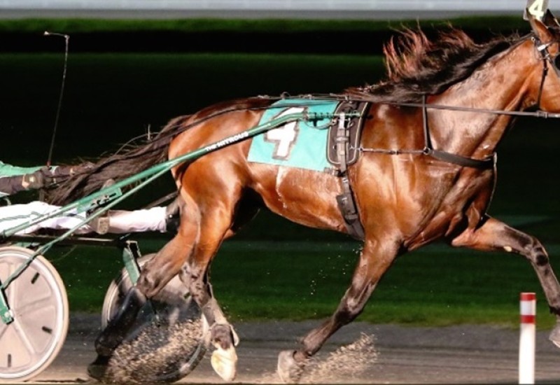 SixPackYonkersTrotwebarticle3