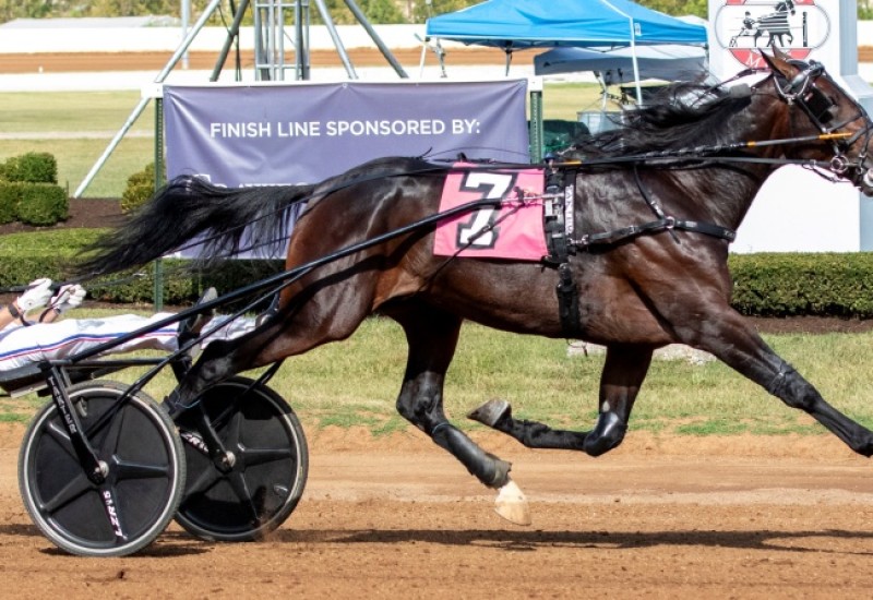 TacticalApproachwebnews