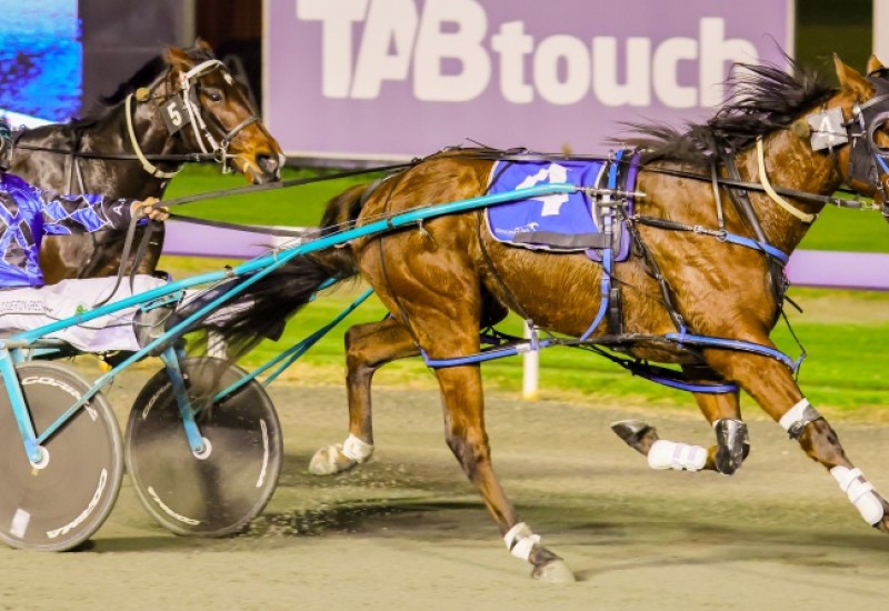 TheMikiTakerwebarticle