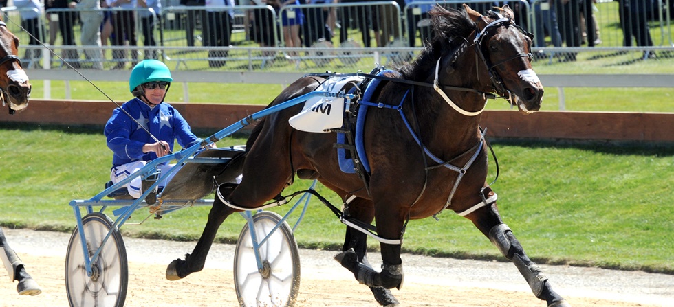 ULTIMATEMACHETEACTIONTWO3027web