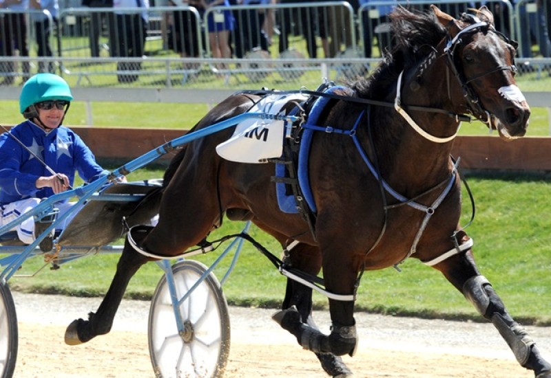 ULTIMATEMACHETEACTIONTWO3027web