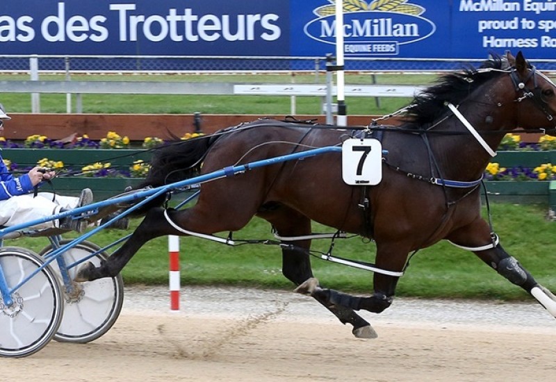 Vincentnewsarticlepic