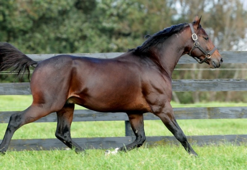 Vincentwebarticleimage v12