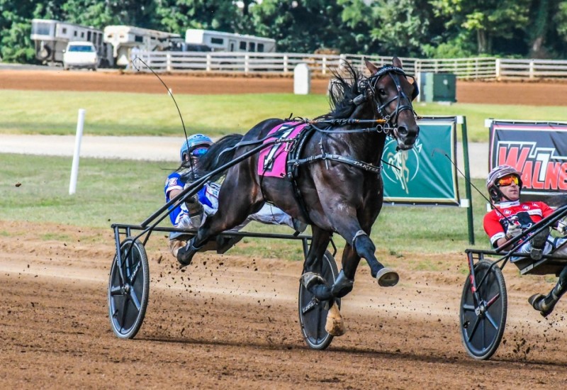 TacticalApproachKentuckyFuturitySlideC